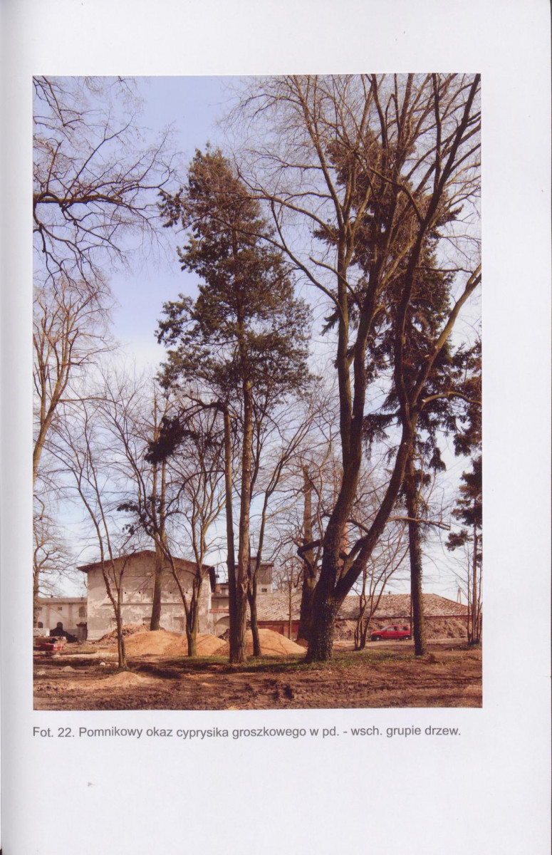 EP - Ewidencja parkowa, skan nr 70