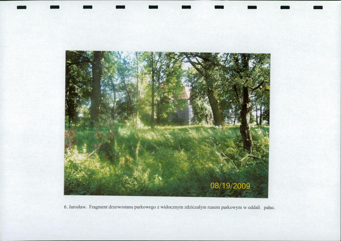 Ewidencja parkowa, skan nr 21