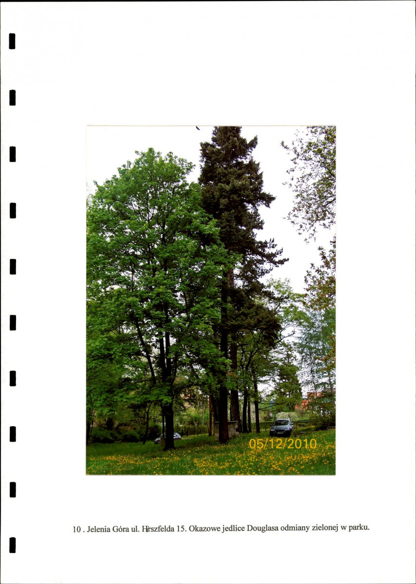 Ewidencja parkowa, skan nr 24