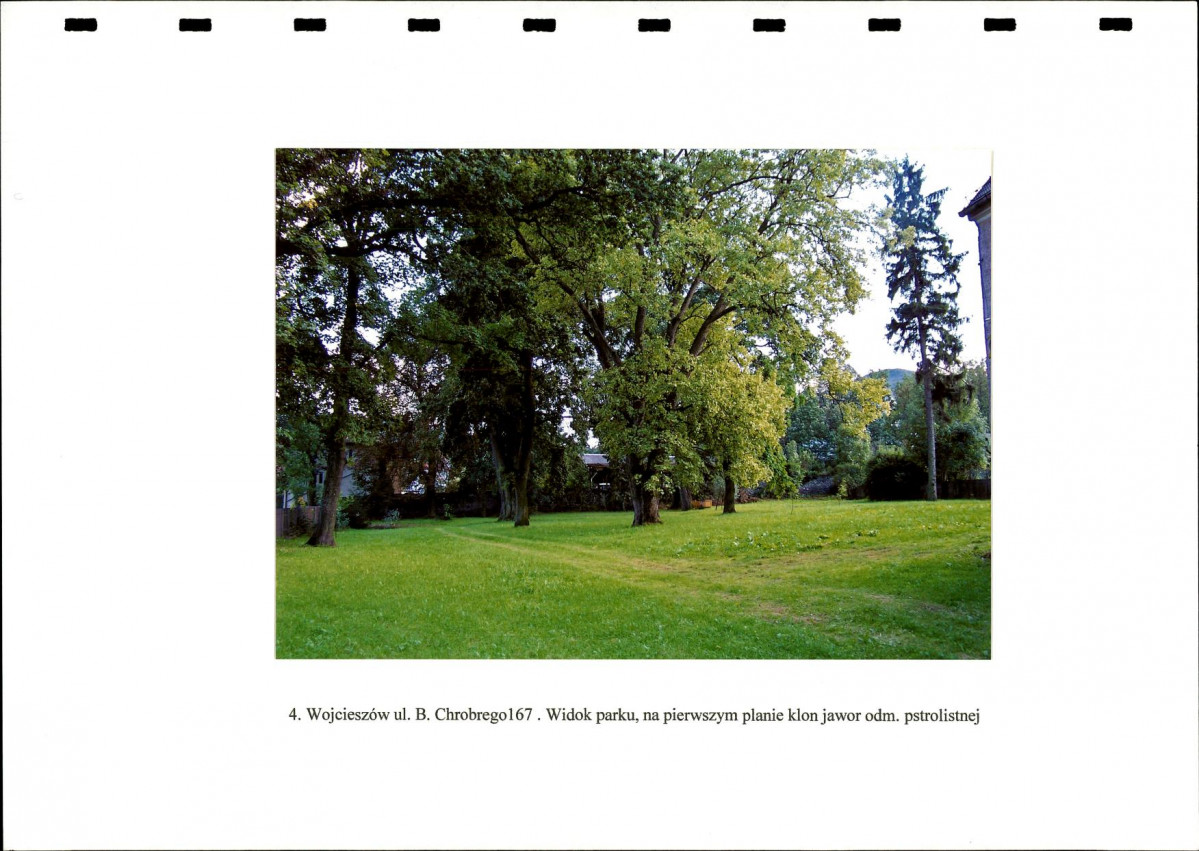 EP - Ewidencja parkowa, skan nr 19