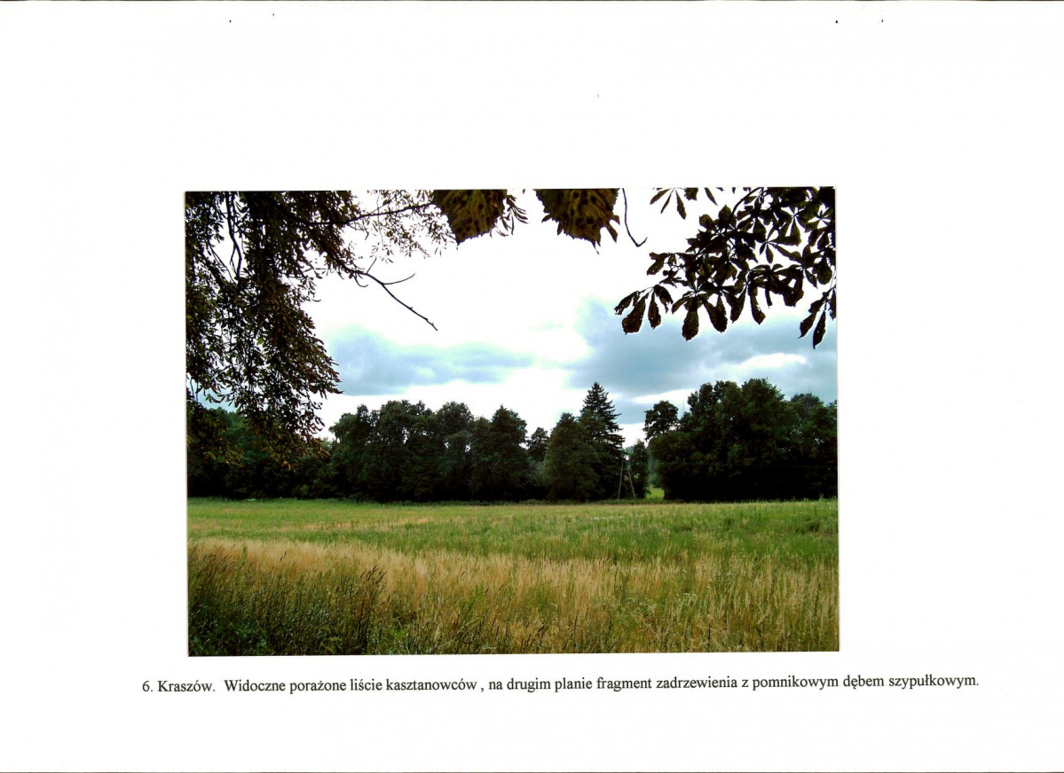 EP - Ewidencja parkowa, skan nr 24