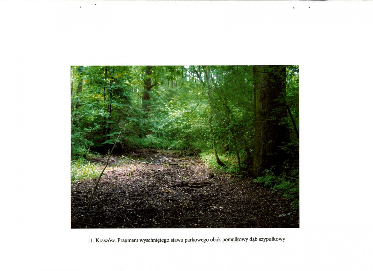 EP - Ewidencja parkowa, skan nr 29