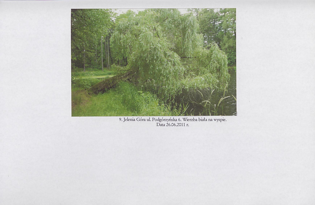 Ewidencja parkowa, skan nr 25