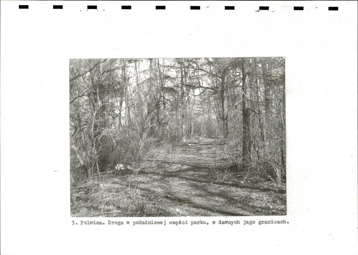 Ewidencja parkowa, skan nr 11