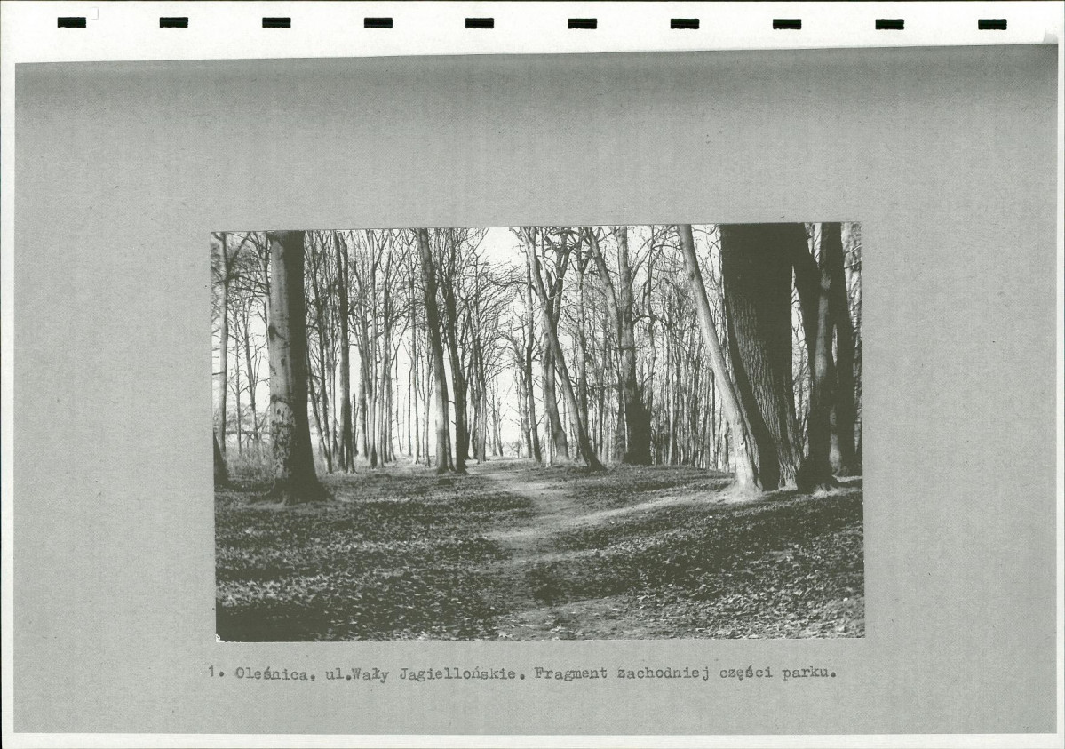 Ewidencja parkowa, skan nr 11