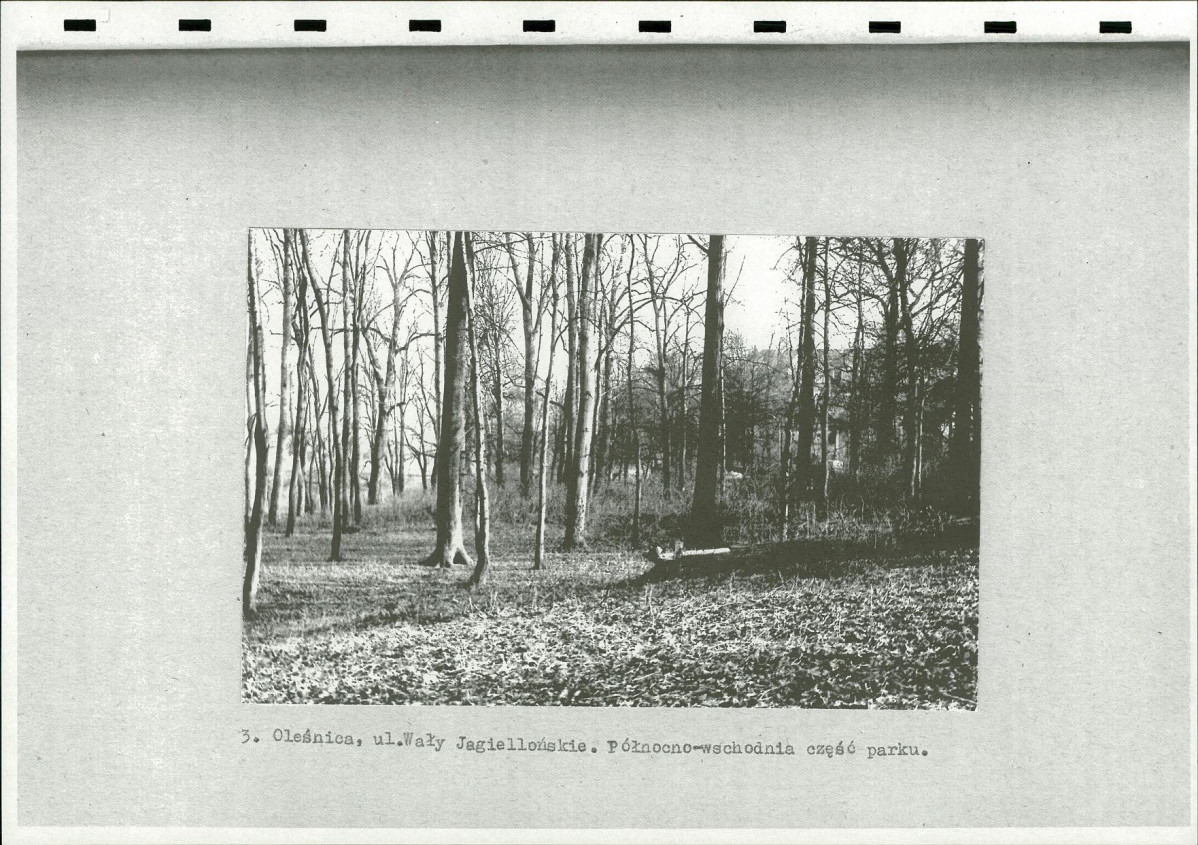Ewidencja parkowa, skan nr 13