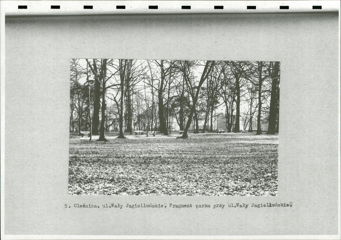 Ewidencja parkowa, skan nr 15