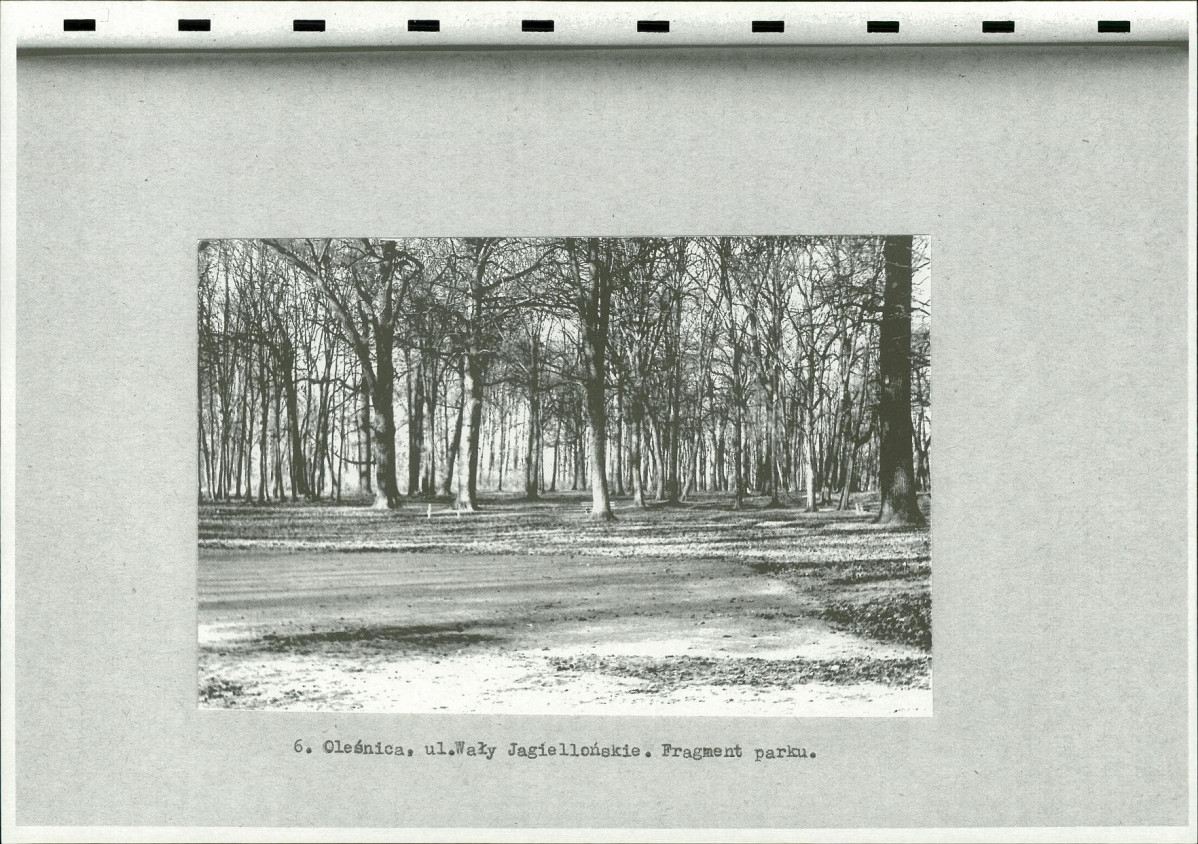 Ewidencja parkowa, skan nr 16