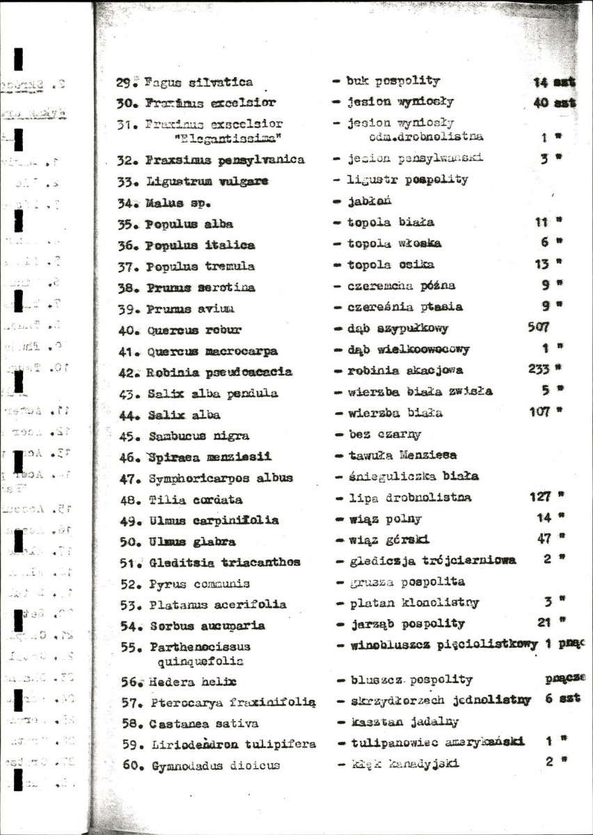 Ewidencja parkowa, skan nr 11