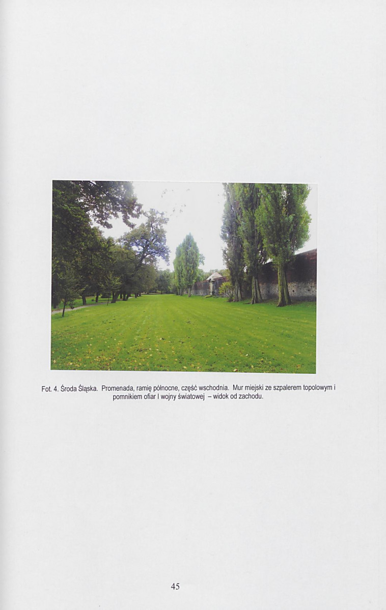 Ewidencja parkowa, skan nr 46