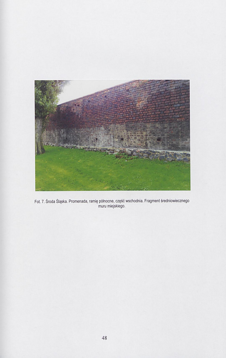 Ewidencja parkowa, skan nr 49