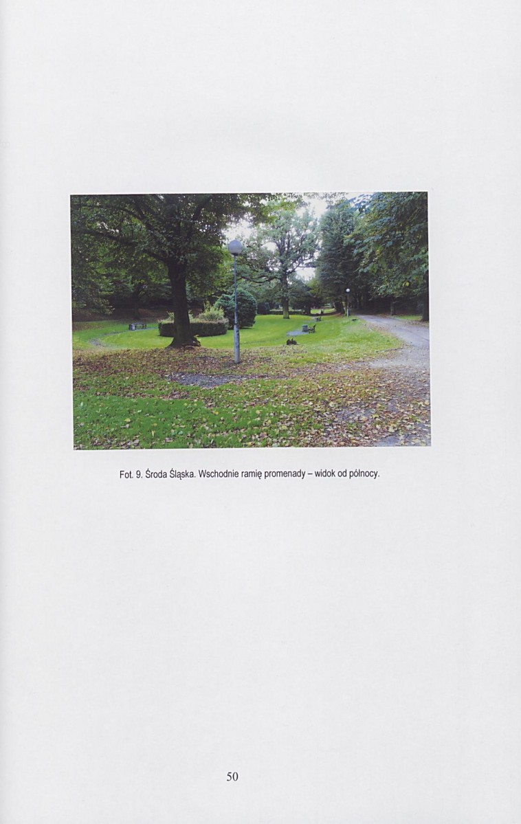 Ewidencja parkowa, skan nr 51