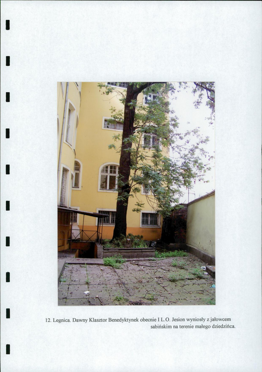 Ewidencja parkowa, skan nr 34