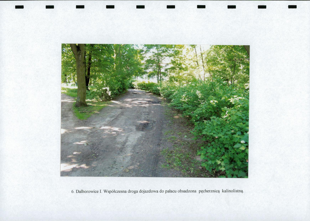 EP - Ewidencja parkowa, skan nr 24