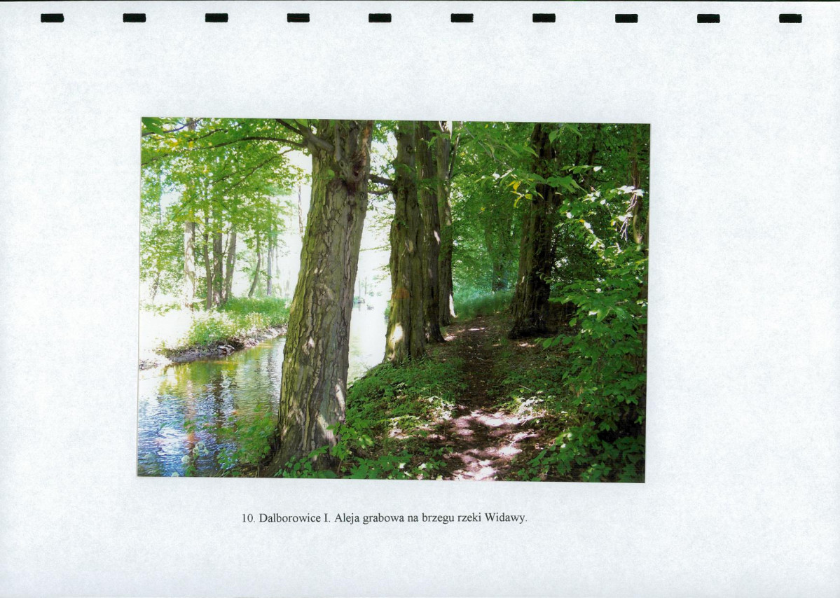 EP - Ewidencja parkowa, skan nr 28