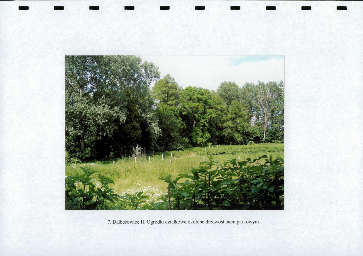 EP - Ewidencja parkowa, skan nr 26