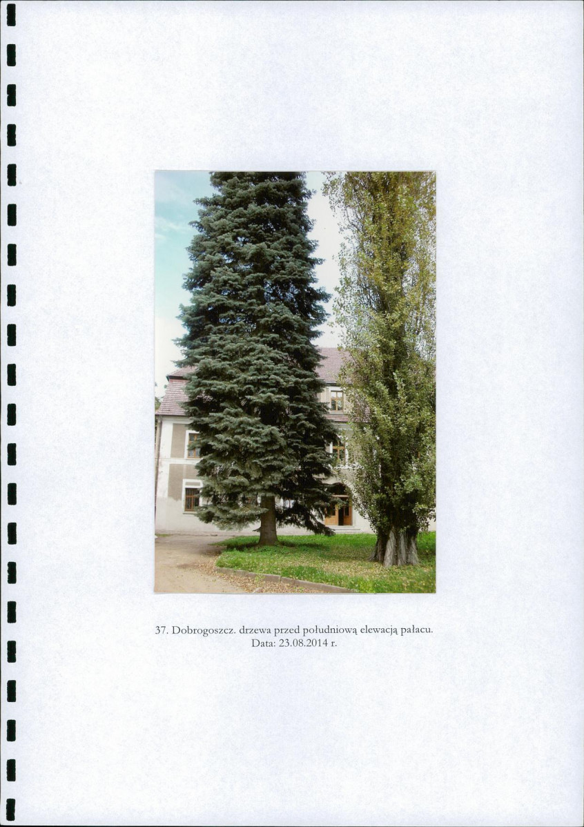 Ewidencja parkowa, skan nr 59