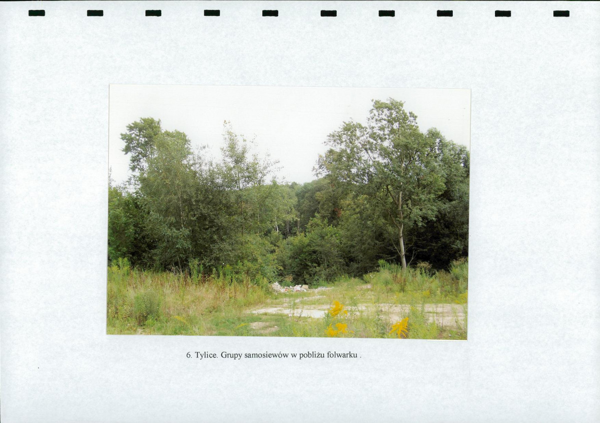 EP - Ewidencja parkowa, skan nr 23