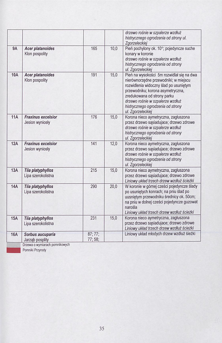 Ewidencja parkowa, skan nr 36