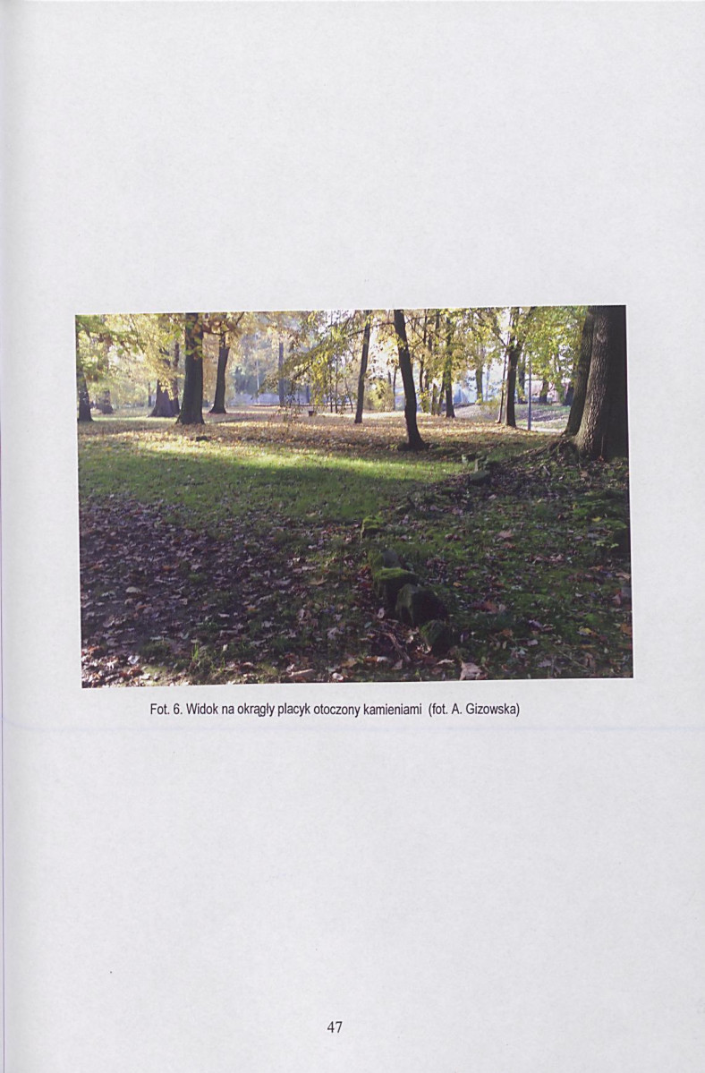 Ewidencja parkowa, skan nr 48