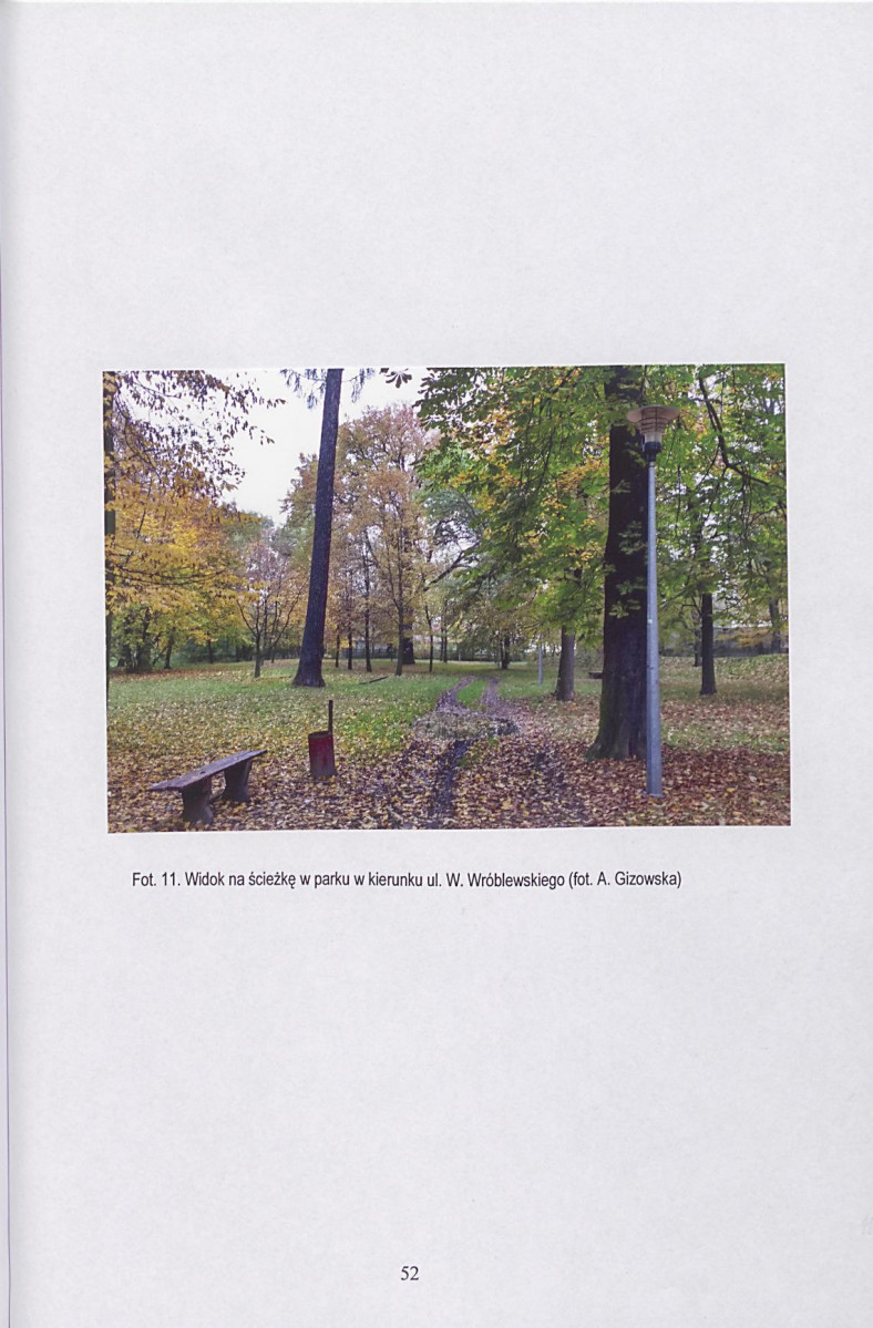 Ewidencja parkowa, skan nr 53
