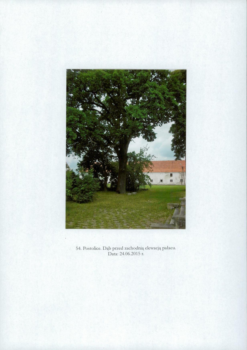 EP - Ewidencja parkowa, skan nr 78