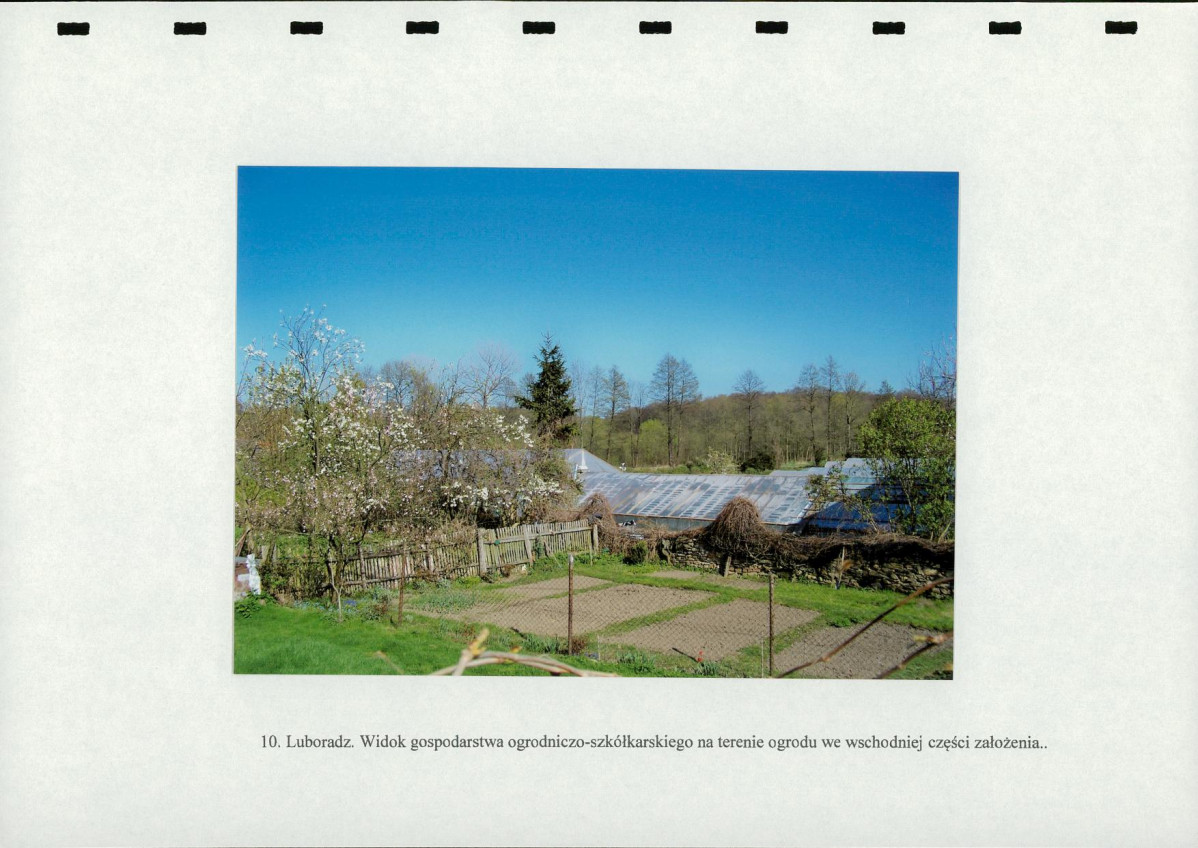 EP - Ewidencja parkowa, skan nr 43