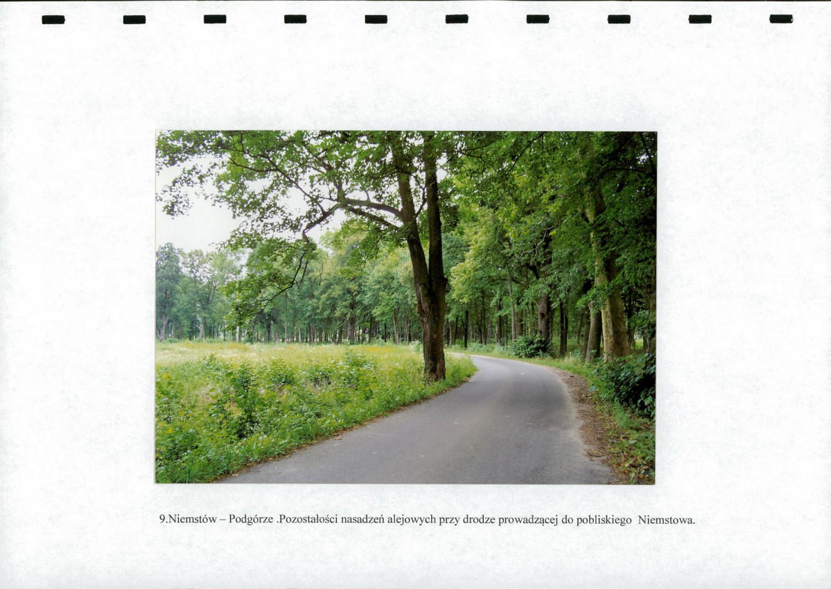 EP - Ewidencja parkowa, skan nr 27