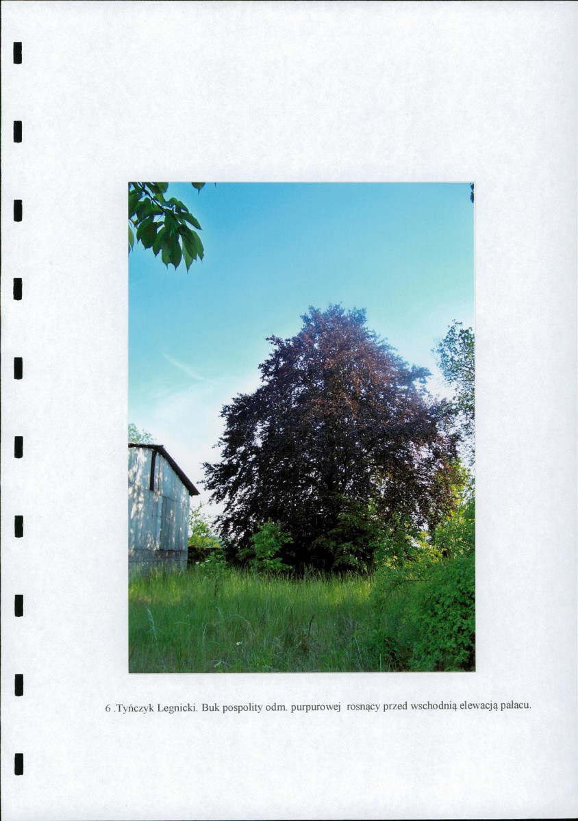 Ewidencja parkowa, skan nr 26