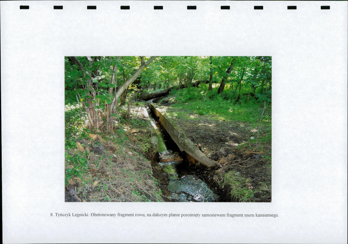 Ewidencja parkowa, skan nr 28