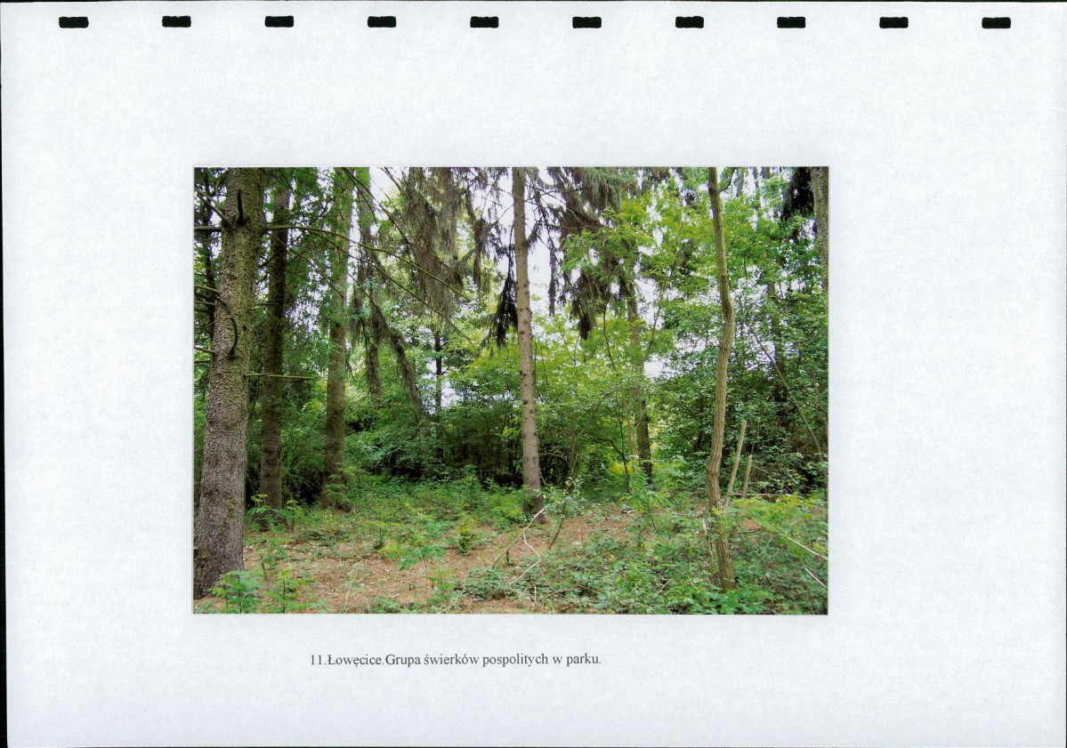 Ewidencja parkowa, skan nr 32
