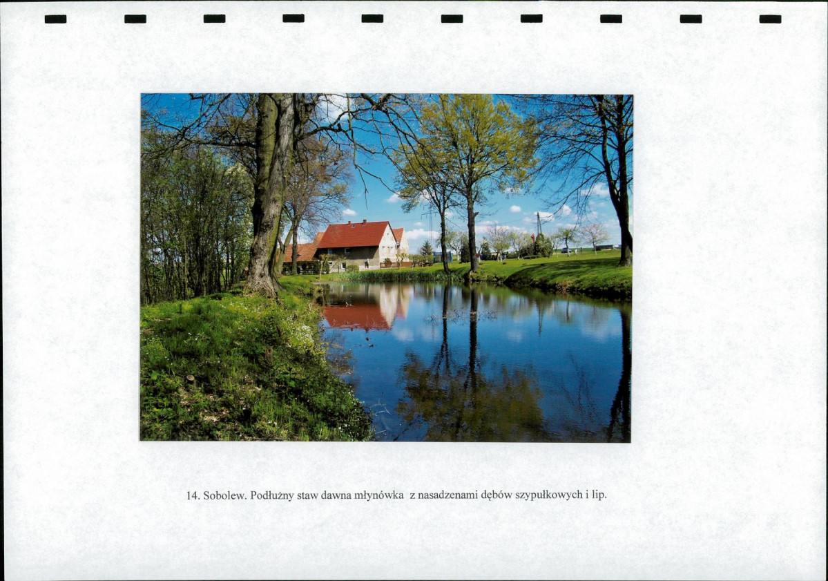 EP - Ewidencja parkowa, skan nr 40