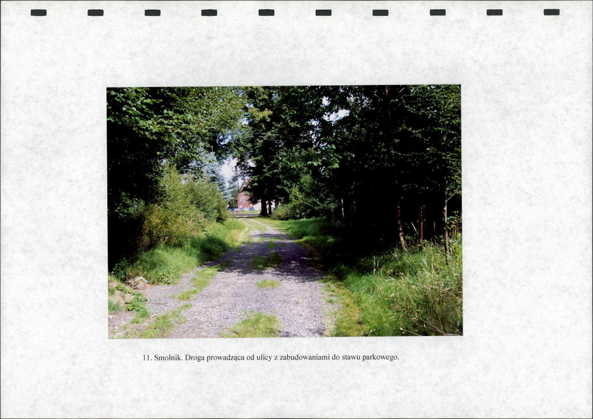 Ewidencja parkowa, skan nr 41
