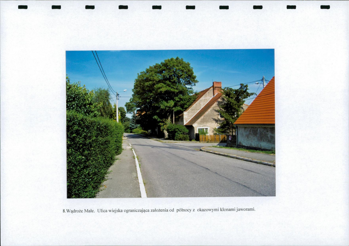 Ewidencja parkowa, skan nr 29
