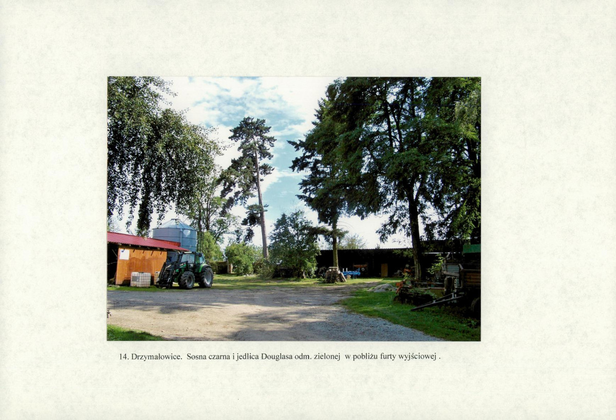 Ewidencja parkowa, skan nr 39