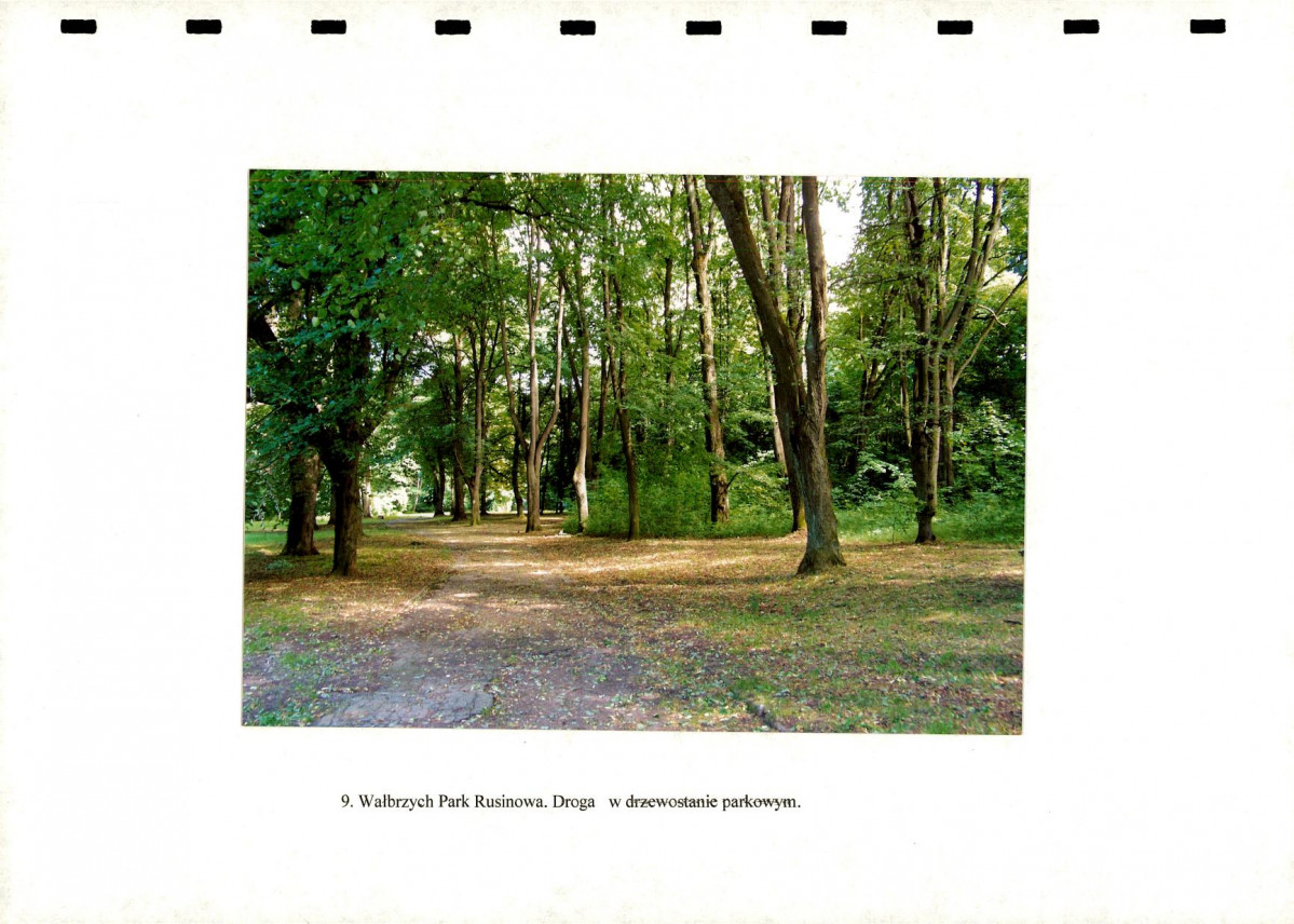 Ewidencja parkowa, skan nr 37