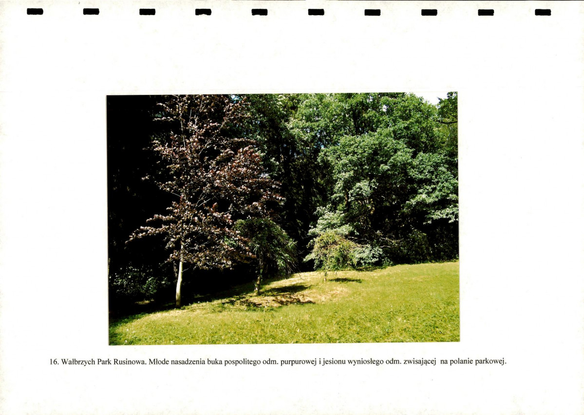 Ewidencja parkowa, skan nr 44