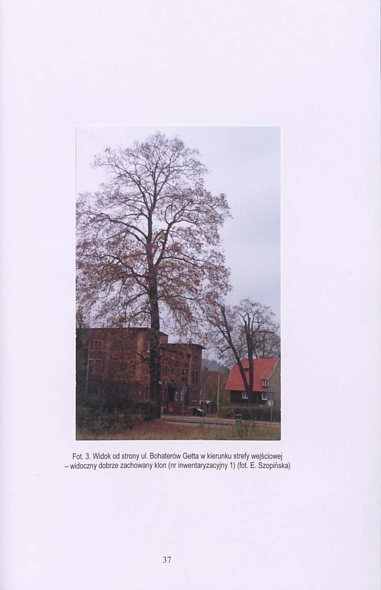 Ewidencja parkowa, skan nr 38