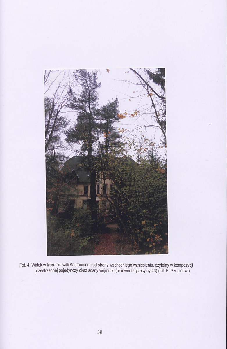 Ewidencja parkowa, skan nr 39