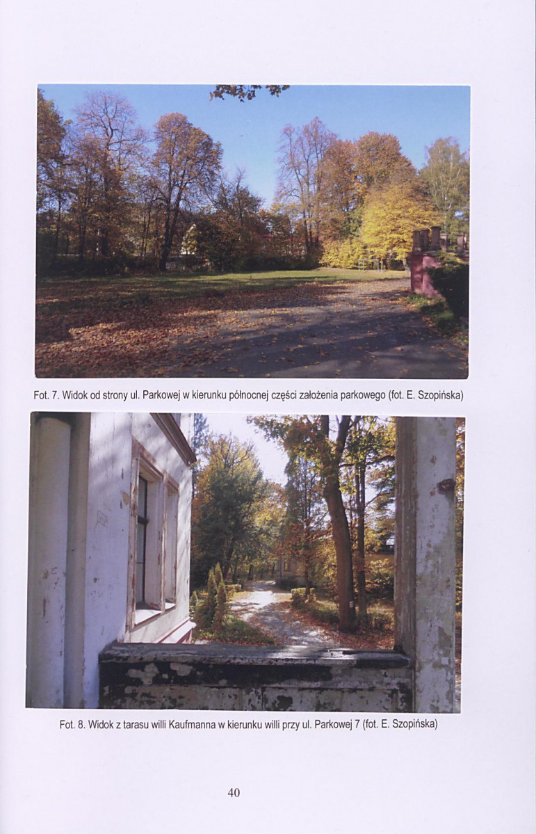 Ewidencja parkowa, skan nr 41