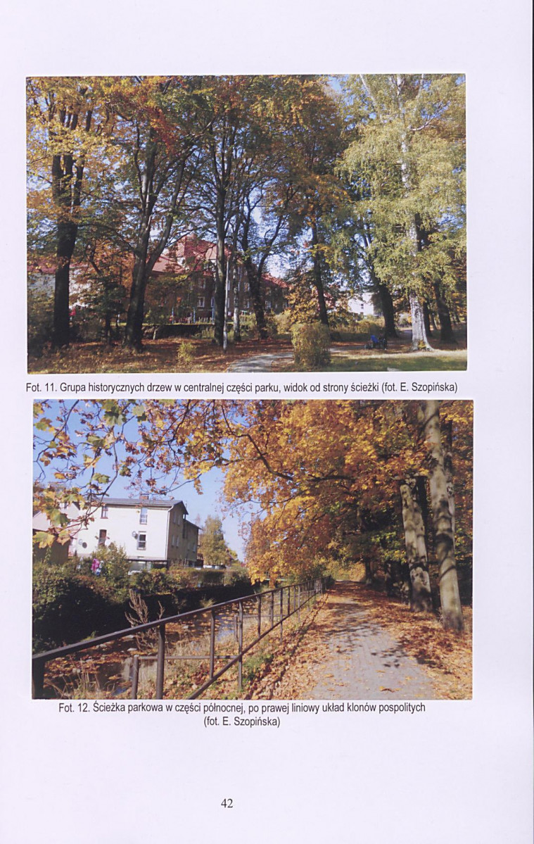 Ewidencja parkowa, skan nr 43