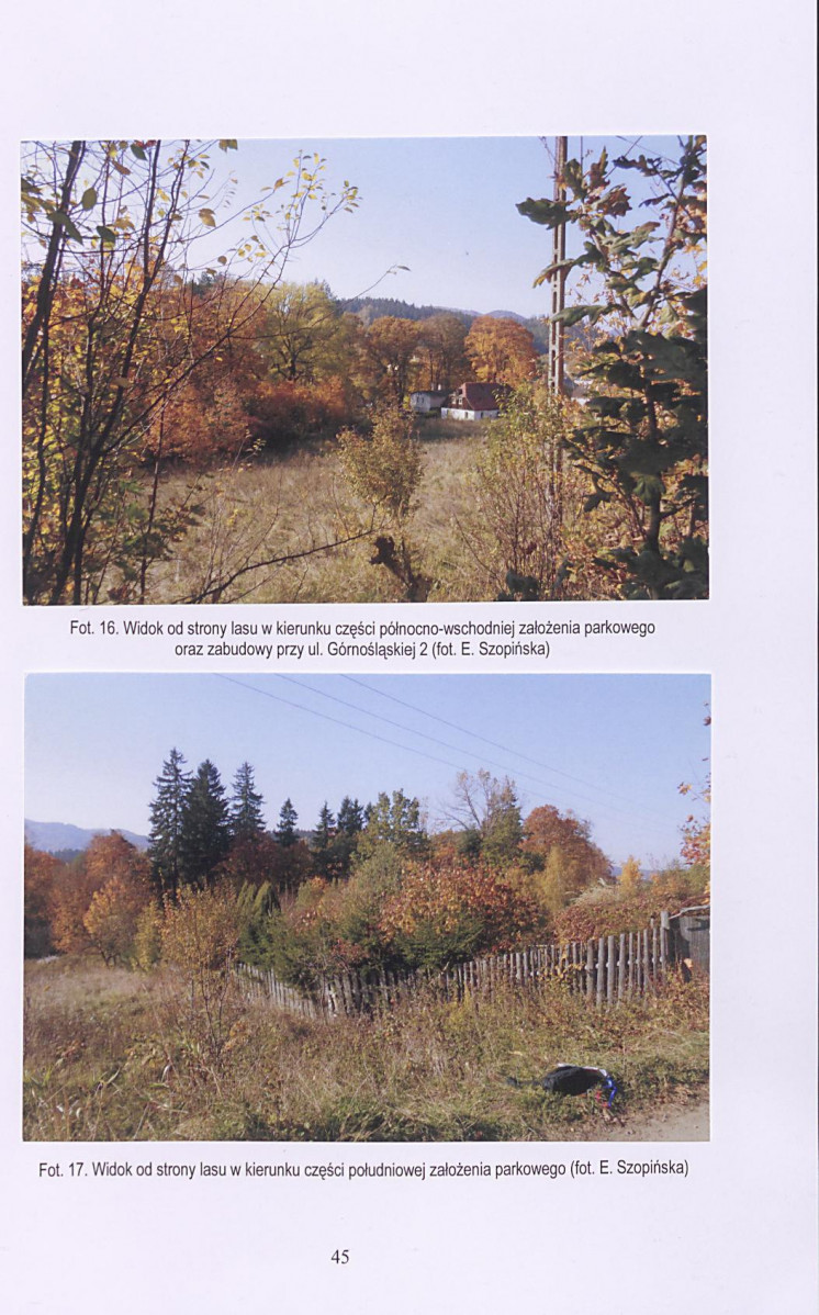 Ewidencja parkowa, skan nr 46