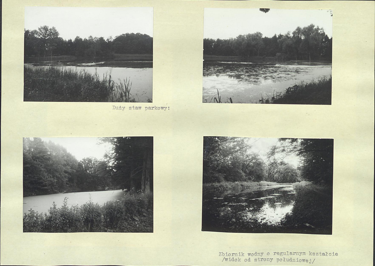 KB - Karta biała, skan nr 20