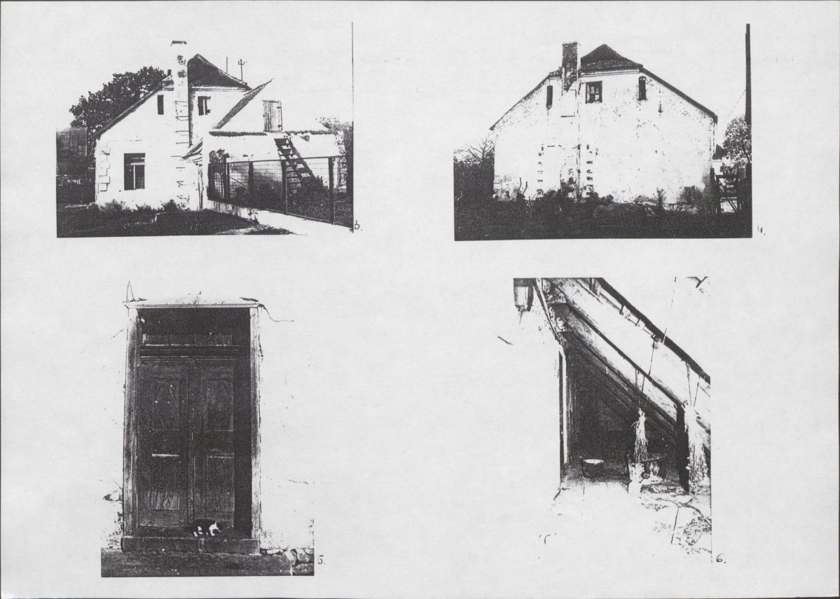 Karta biała, skan nr 6