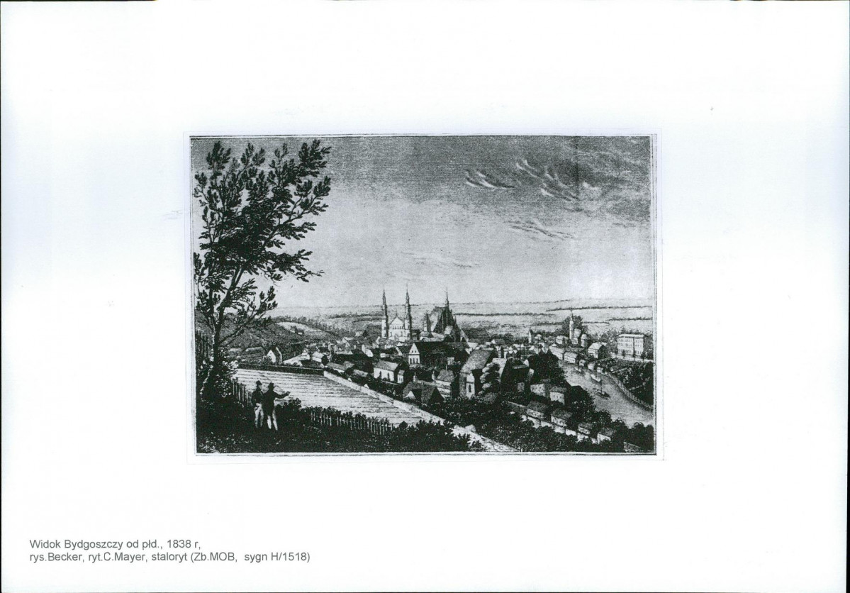 Karta biała, skan nr 31