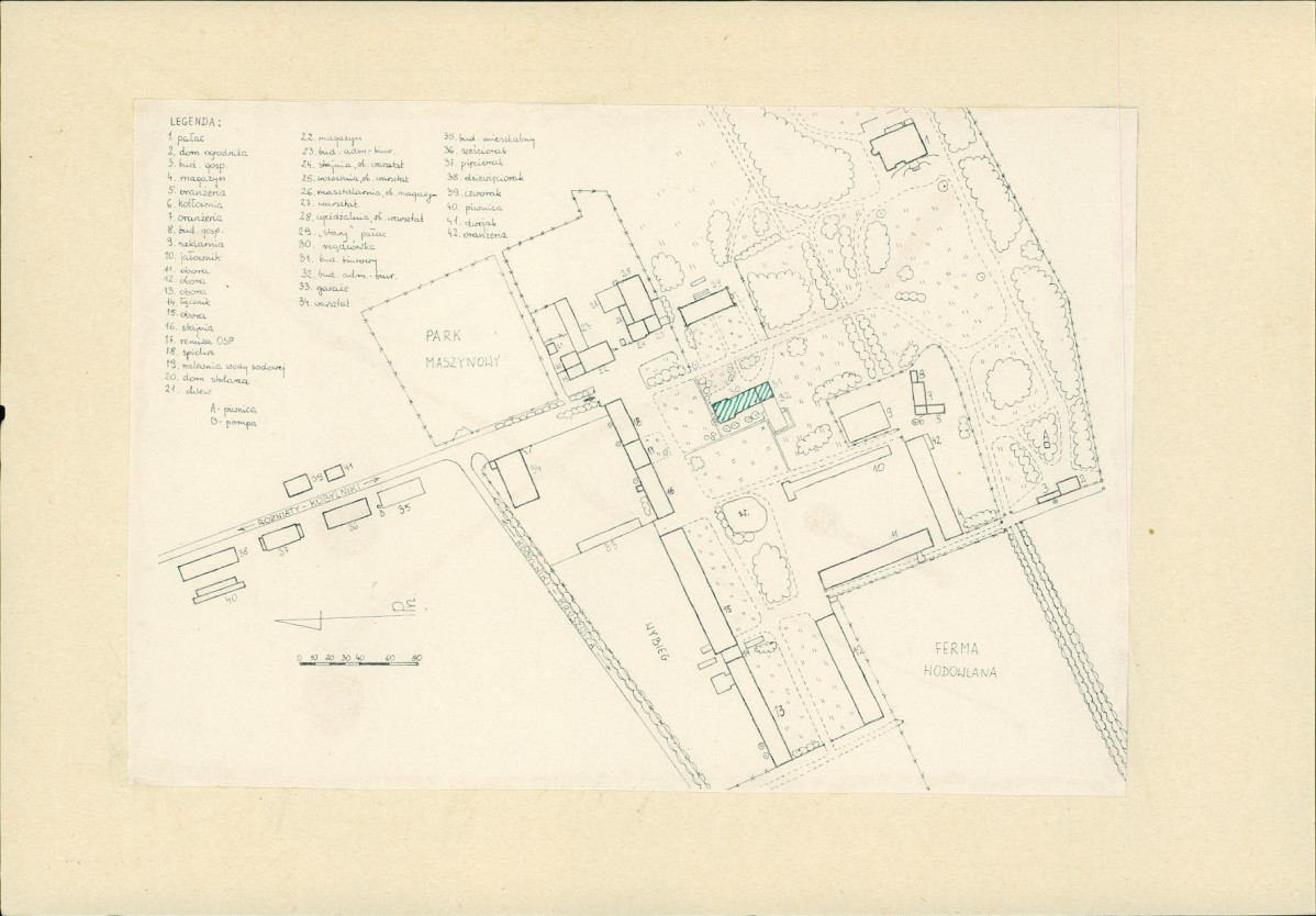 Karta biała, skan nr 6
