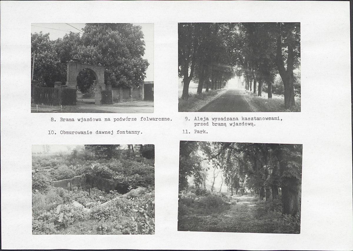 Karta biała, skan nr 10