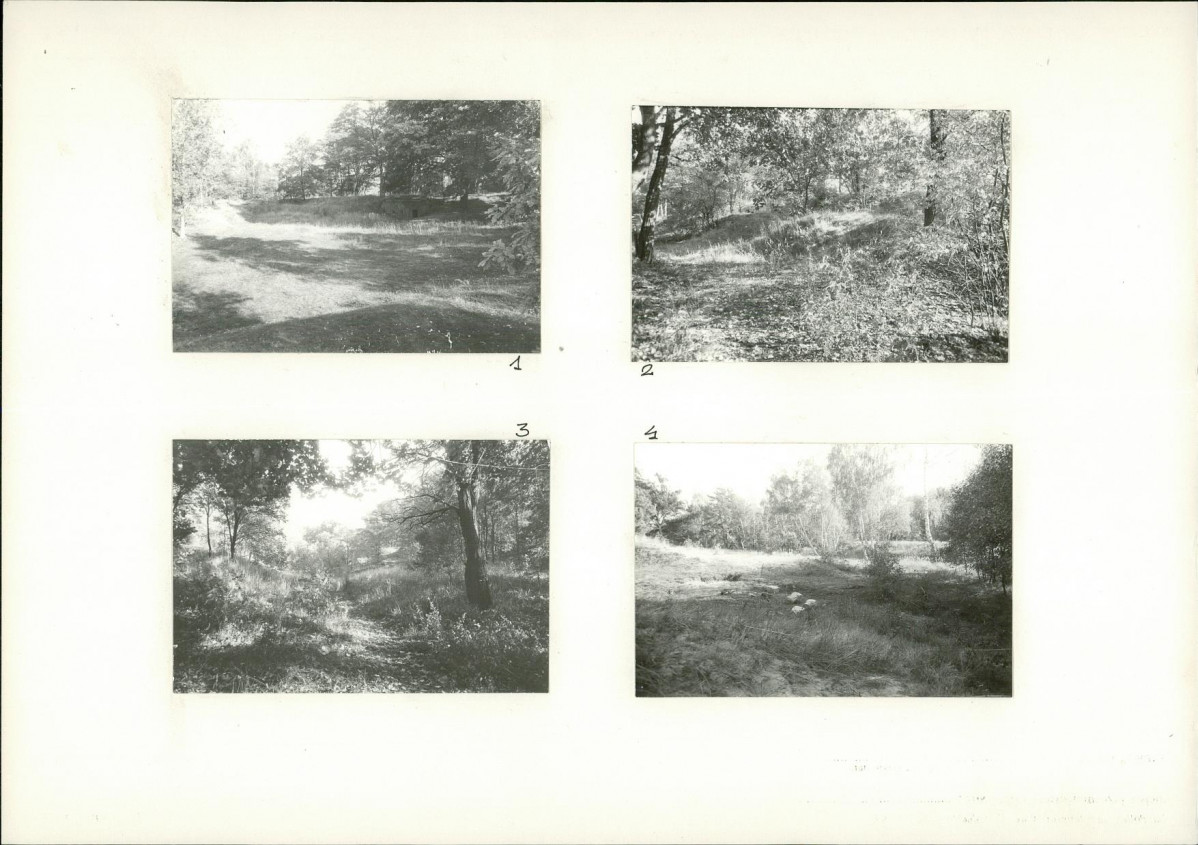 KB - Karta biała, skan nr 6