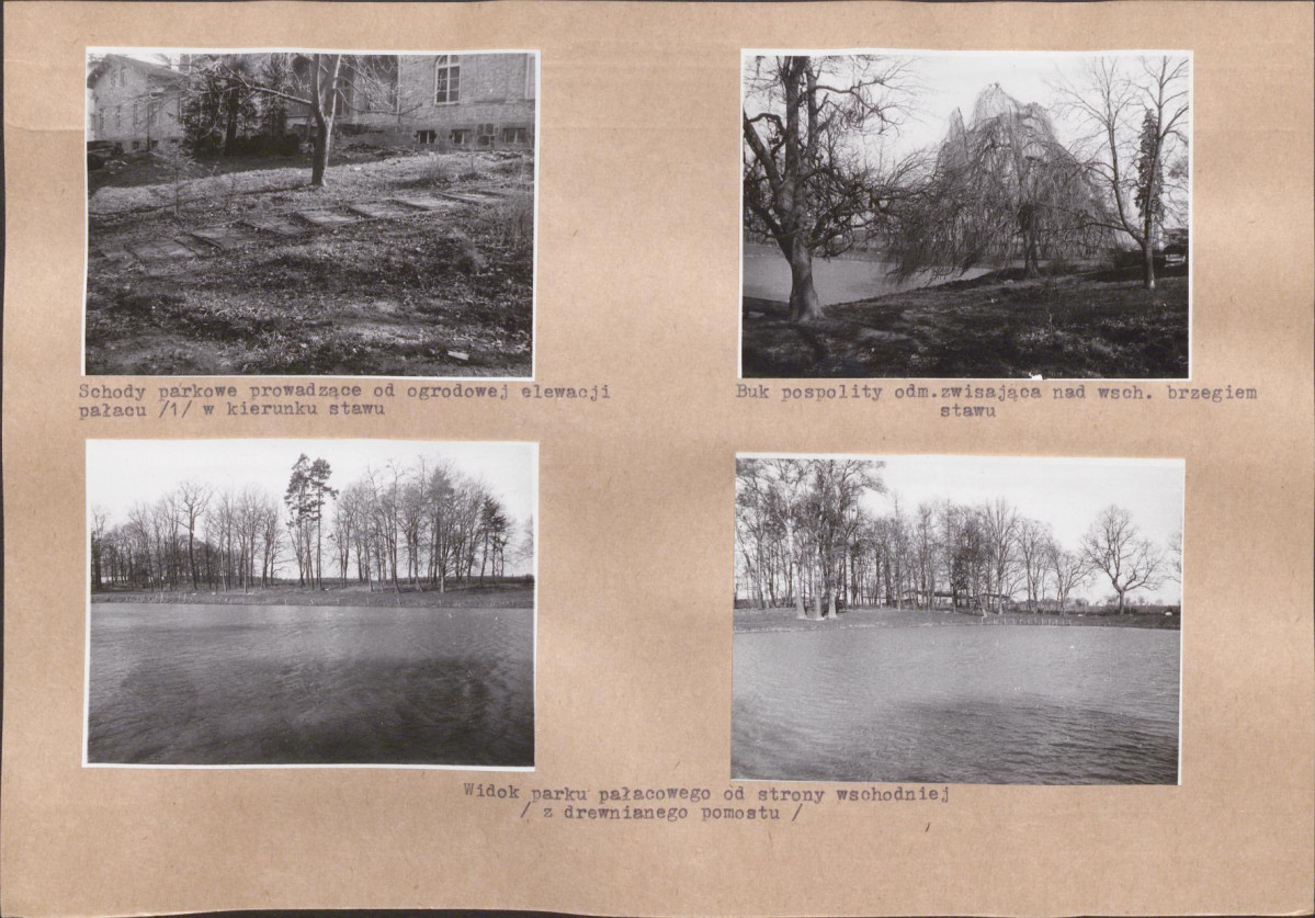 KB - Karta biała, skan nr 12