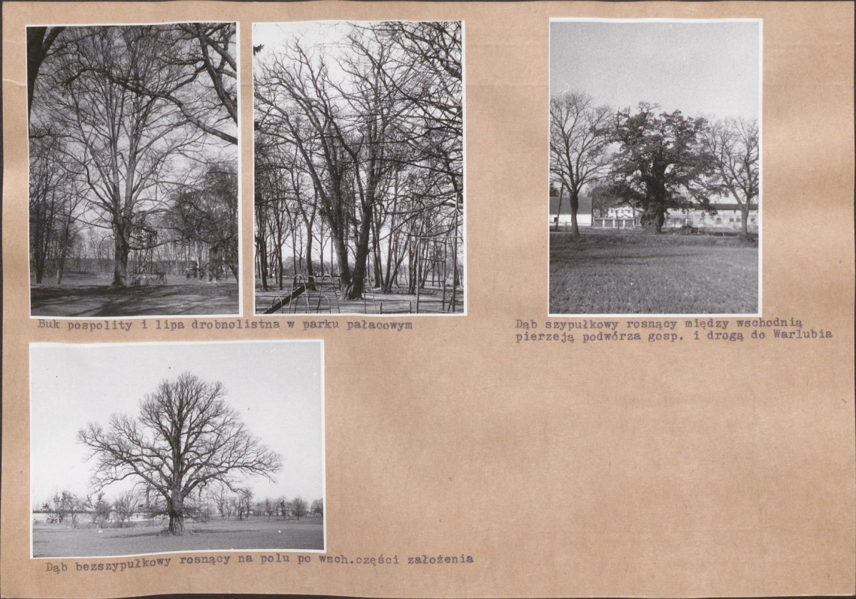 KB - Karta biała, skan nr 14